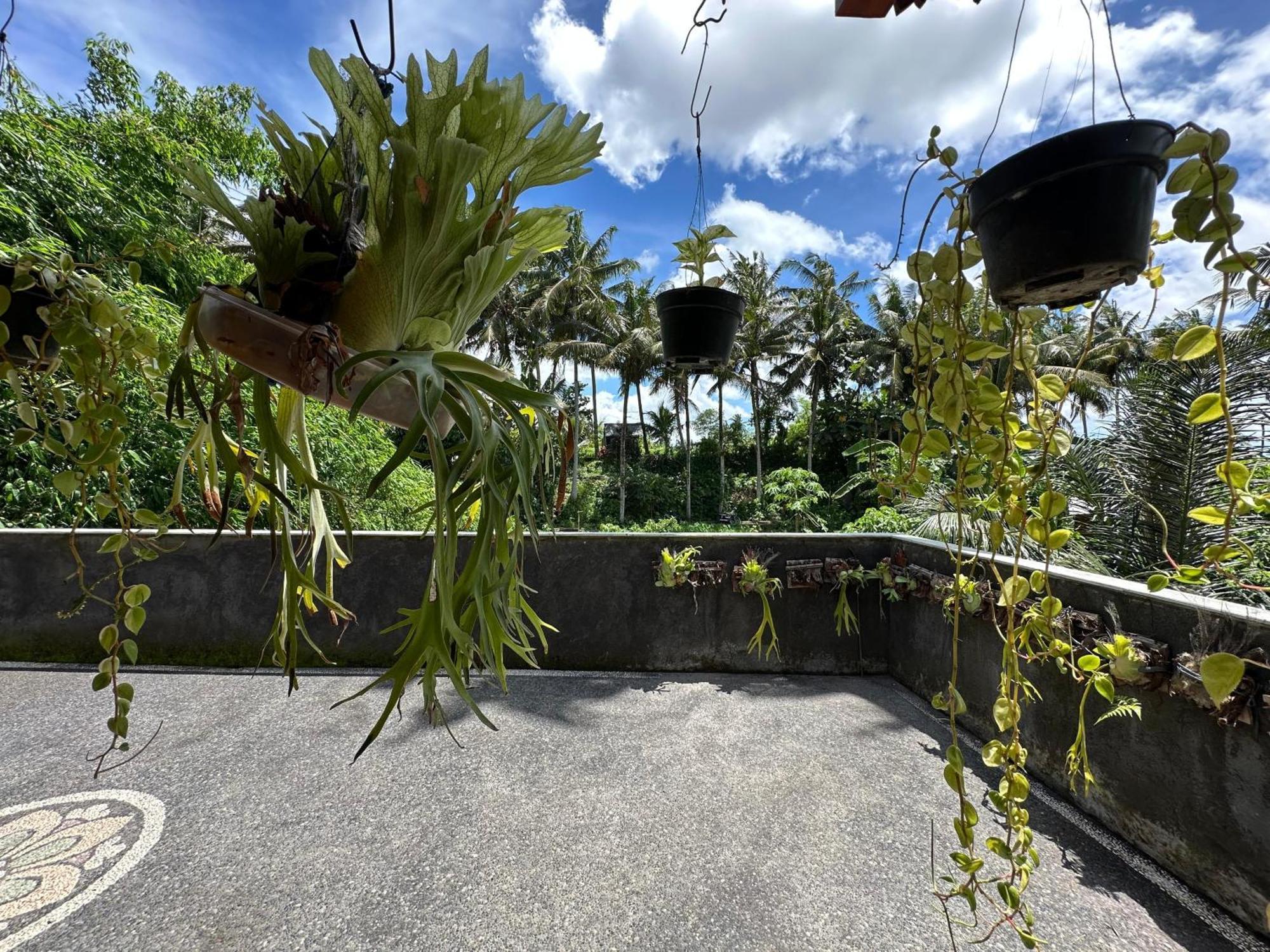 Tagel Karsa House Hotel Ubud  Bagian luar foto